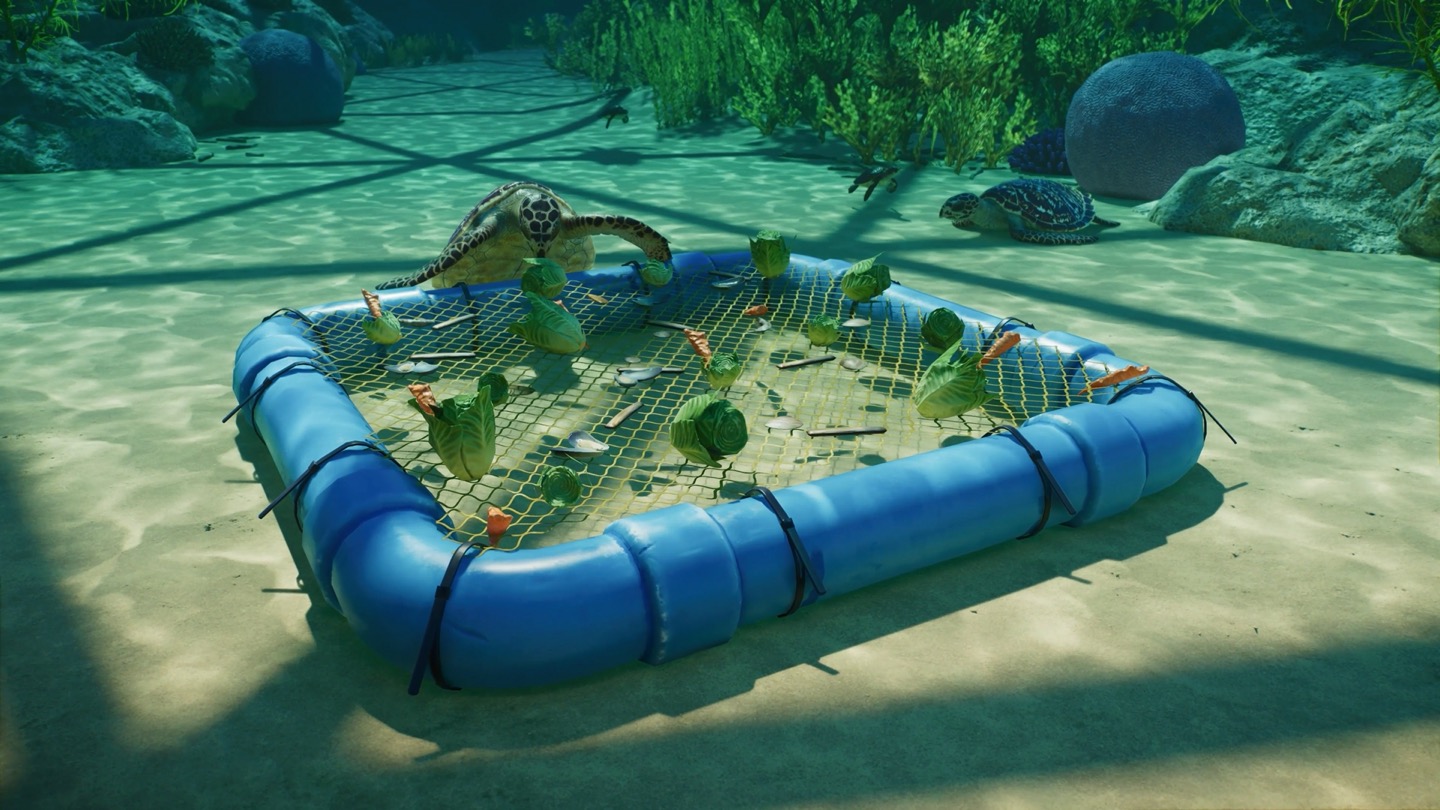Hawksbill turtles at an underwater feeding platform in Frontier’s official aquarium image